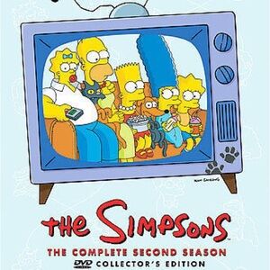 The Simpsons Complete Second Season DVD